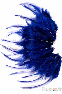Haan - 8-12 cm - donkerblauw